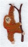 Orangutan